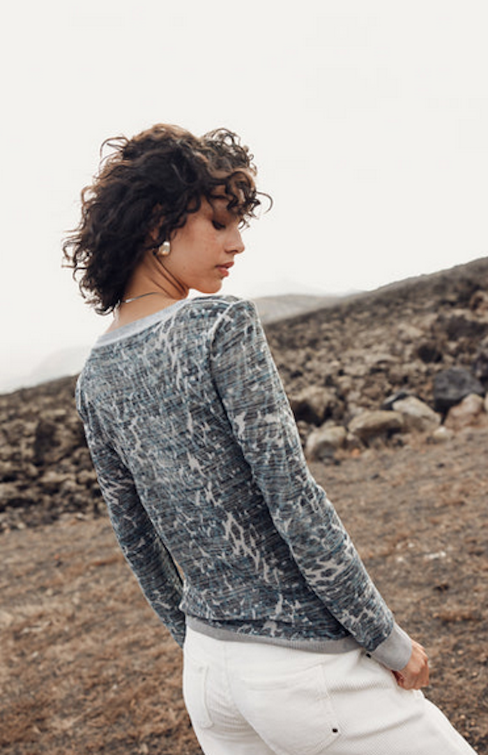 Pull irisé animalier Freeman T Porter